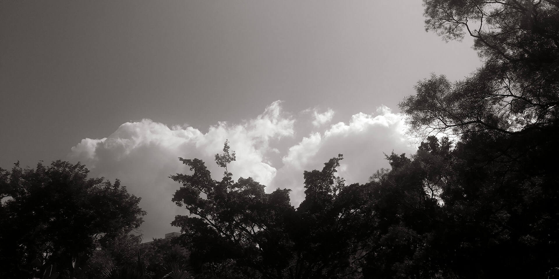 黑白 Black & White