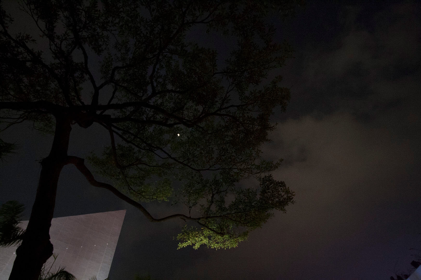 地球1小時 Earth Hour 2016