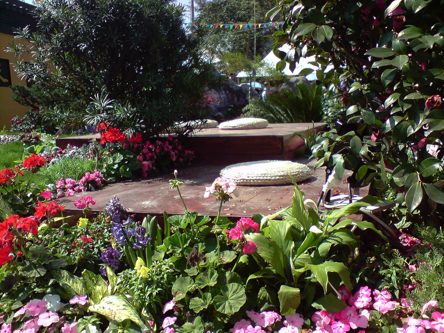 香港花卉展覽 Hong Kong Flower Show 2010