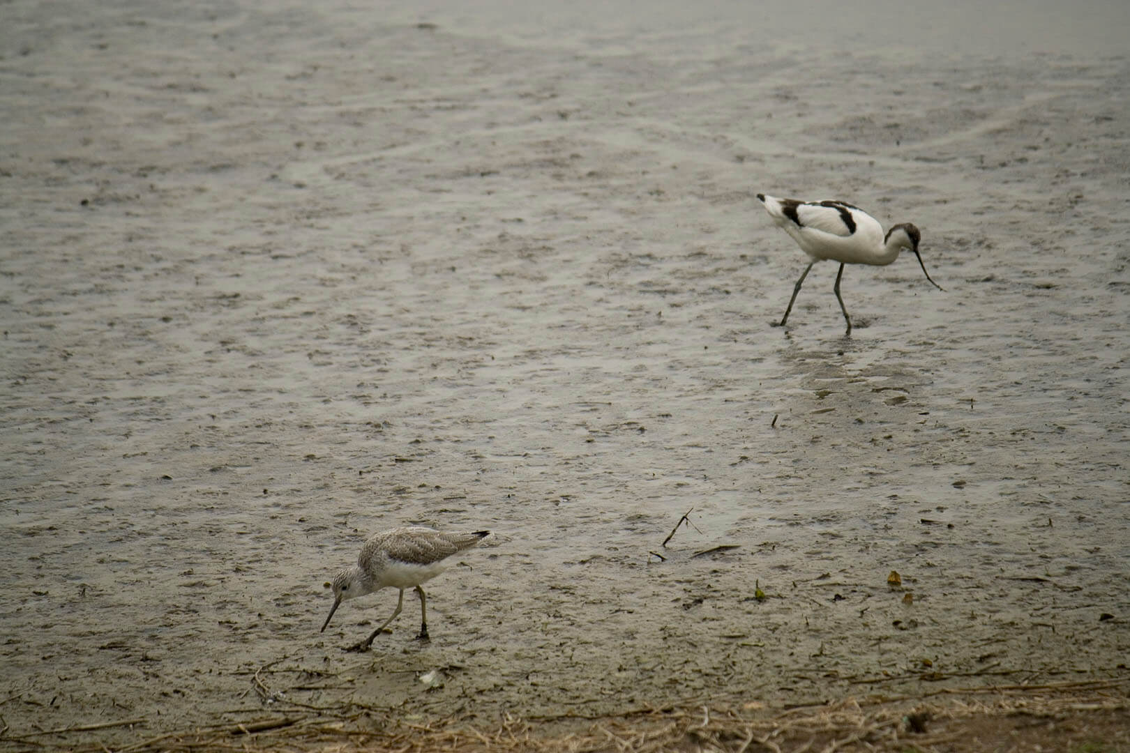 濕地公園 Wetland Park