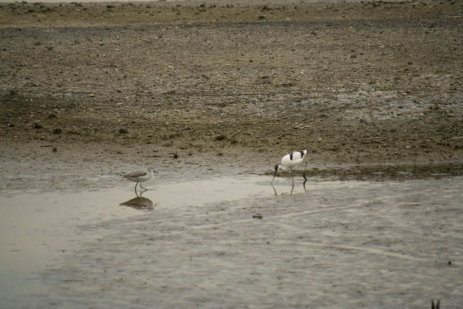 濕地公園 Wetland Park