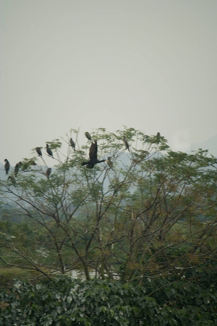 濕地公園 Wetland Park