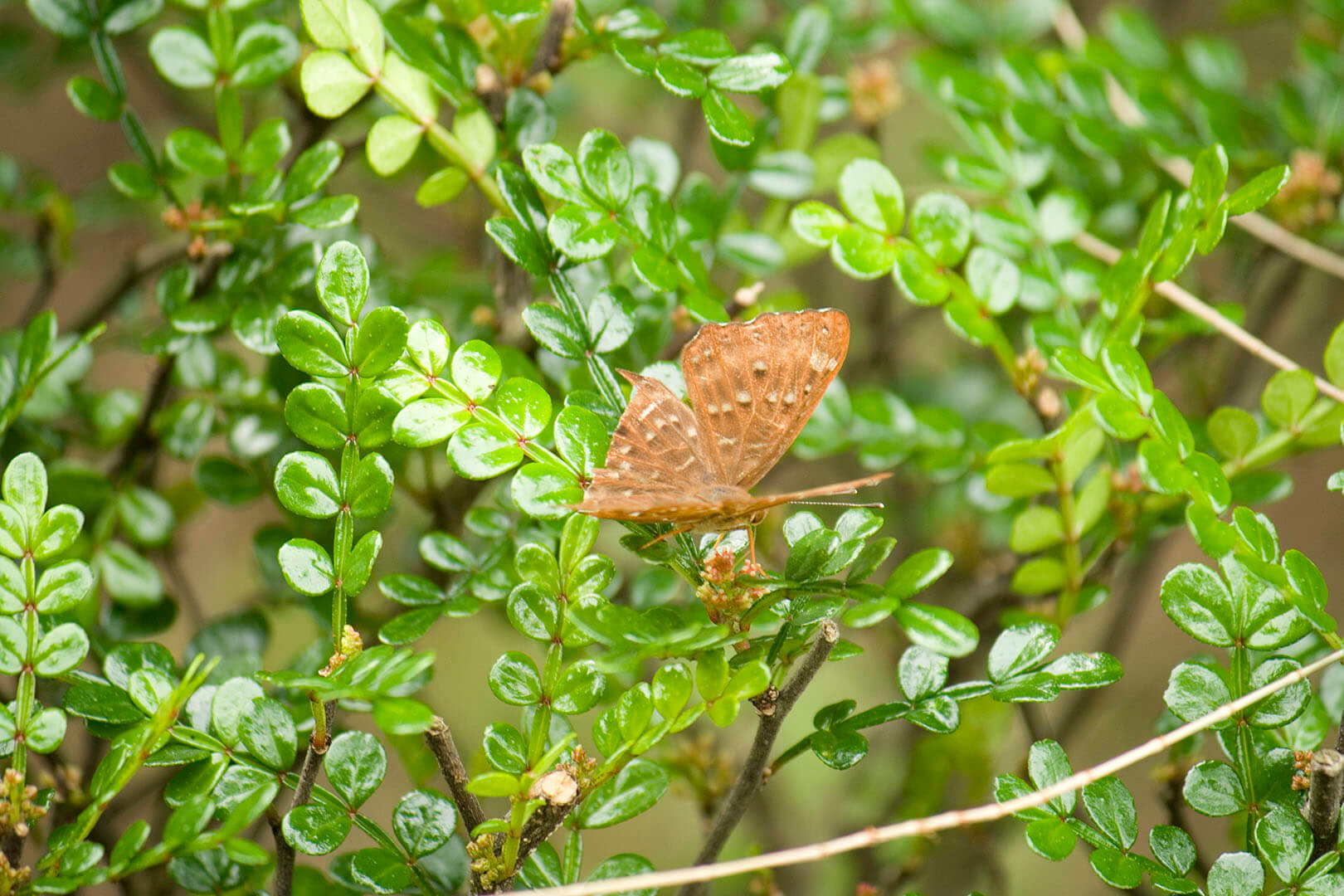 濕地公園 Wetland Park